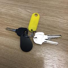 Sleutelbos, som rapportert av Gemeente Alkmaar ved bruk av iLost