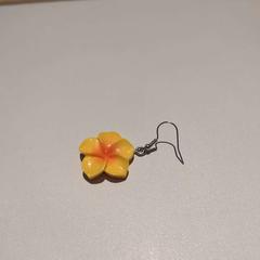 القرط Gele bloem (los)، كما تم الإبلاغ عنه بواسطة Het Noordbrabants Museum عبر iLost