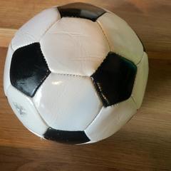 Bola Zwart wit, ha sido reportado por Attractie- & Vakantiepark Slagharen con iLost
