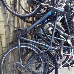 남성용 자전거 Pegasus, iLost를 사용하여 Stadswerk072에 보고됨