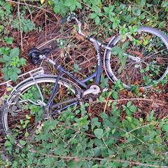 fiets, como reportado ao iLost