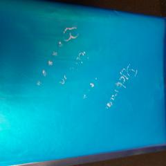 Unterarmtasche bleue, gemeldet von TCL über iLost