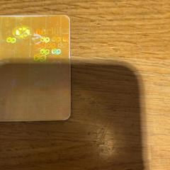 Carta di trasporto Wallau, come riportato da Designer Outlet Roermond utilizzando iLost