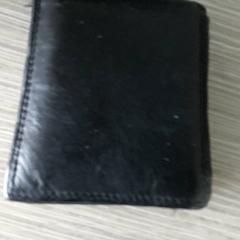 İLost kullanarak Regio Antwerpen - Brussel tarafından bildirildiği gibi Cüzdan SERBIYEV