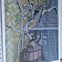 Bicicleta feminina, segundo informou Gemeente Roermond usando iLost