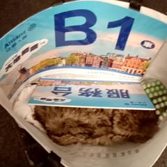 Tas met diverse spullen tas diverse spullen がiLostで Mövenpick Hotel Amsterdam City Centre によって報告されました