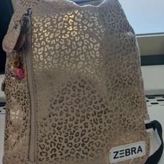 バックパック がiLostで Arriva Limburg Zuid によって報告されました