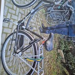 Dámské kolo, jak nahlášeno Gemeente Roermond pomocí iLost