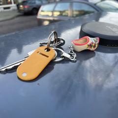 Sleutelbos met klompje がiLostに報告されました