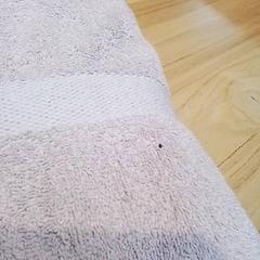 Handduk, rapporterat av Beekse Bergen Resorts en Hotel med iLost