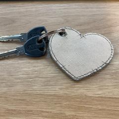 Chiavi della bicicletta, come riportato da Gemeente Alkmaar utilizzando iLost