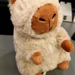 Kosete leke knuffek, som rapportert av Qbuzz GD Groningen HS ved bruk av iLost