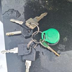 Sleutelbos, as reported to iLost