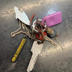 المفاتيح، كما تم الإبلاغ عنه بواسطة Rotterdam The Hague Airport عبر iLost