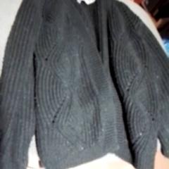 Vestje Zwart, ha sido reportado por Apenheul con iLost