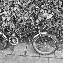 Vouwfiets, ako bolo nahlásené iLost
