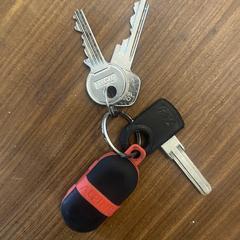 Sleutelbos, segundo informou a iLost