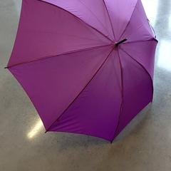 Paraigües Violet, segons ha informat IKEA Rennes - Pacé mitjançant iLost