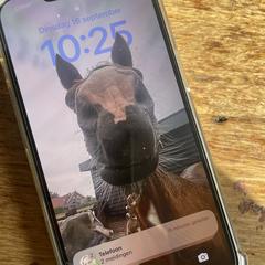 Iphone (van Katie?), som rapporterats till iLost