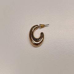 귀걸이 goud, iLost를 사용하여 Gemeente Rotselaar에 보고됨