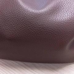 Tas Bruin, De Koning, rapporterat av Qbuzz Fryslân med iLost