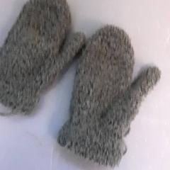 Gloves, as reported by Diergaarde Blijdorp using iLost