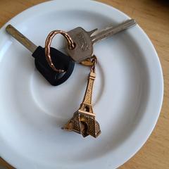 Sleutelhanger met 2 sleutels, as reported to iLost