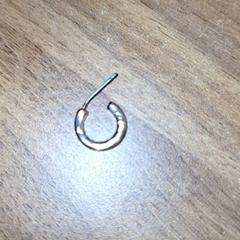 Earring, as reported by Qbuzz DMG using iLost