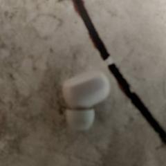 Elektronik Oortjes, gemeldet von Regio Antwerpen - Brussel über iLost