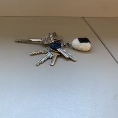 Sleutelbos, iLost'a bildirildiği gibi