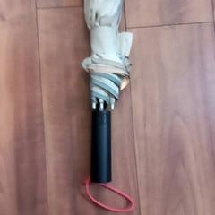 Paraply Beige, som rapportert av Arriva Limburg Zuid ved bruk av iLost