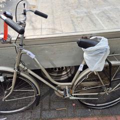 Kvinners sykkel, som rapportert av Gemeente Roermond ved bruk av iLost