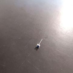 Náušnice Single, jak nahlášeno Conscious Hotel Westerpark pomocí iLost