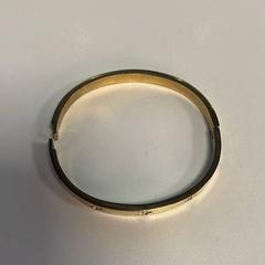 Armband goud, gemeldet von AFAS Live über iLost