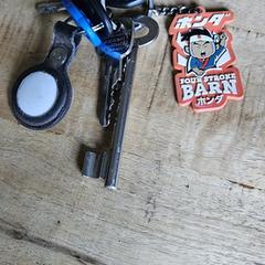 Sleutelbos, ako bolo nahlásené iLost