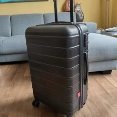 Trolley, jak bylo nahlášeno na iLost