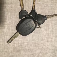 Bos sleutels 4 stuks, som rapporterats till iLost