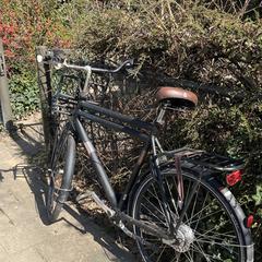 Fiets, iLost에 보고됨