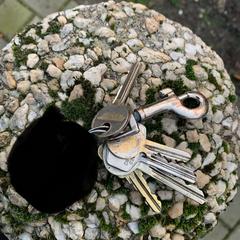 Sleutelbos, segons s'ha informat a iLost