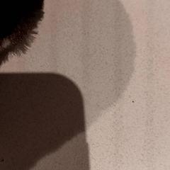 Mysig leksak, rapporterat av De Efteling med iLost