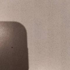 Speenkoord, som rapportert av De Efteling ved bruk av iLost