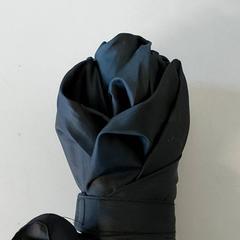 傘 -zwart がiLostで Centraal magazijn によって報告されました