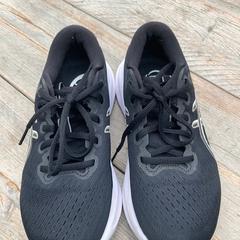 Schoenen, som rapportert til iLost