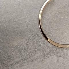 Orecchino, come riportato da Arriva Friesland / Groningen utilizzando iLost