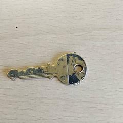 İLost kullanarak Centraal magazijn tarafından bildirildiği gibi Anahtar