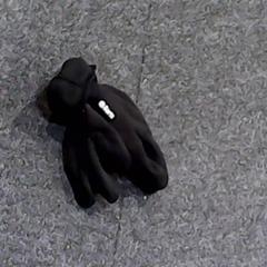 Guantes, ha sido reportado por SnowWorld Landgraaf con iLost