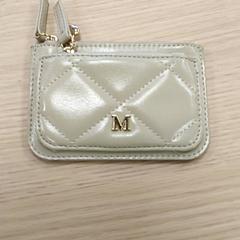 지갑, iLost를 사용하여 Regio Antwerpen - Brussel에 보고됨