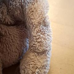 꼭 껴안고 싶은 장난감, iLost를 사용하여 Avonturenboerderij Molenwaard에 보고됨