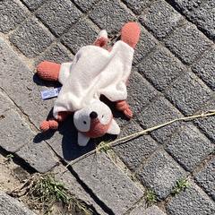 knuffel (eekhoorn?), as reported to iLost