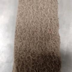 Shawl Bruin, as reported by Arriva Friesland / Groningen using iLost